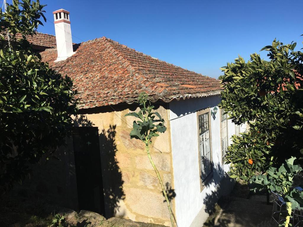 Casa Da Vila Penamacor Exteriör bild